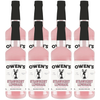 Owen’s Craft Mixers Live Nation Exclusive Strawberry Lemonade | Handcrafted in USA | Premium Ingredients | Vegan & Gluten-Free Soda Mocktail & Cocktail Mixer - GoDpsMusic