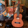Autographed Sawtooth Mahogany Tenor Electric Ukulele w Gig Bag and Fishman KUL-101 Preamp/Built In Tuner and Official Brake Stickers - GoDpsMusic
