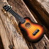 Autographed Sawtooth Sunburst Basswood Soprano Ukulele w Gig Bag and Official Brake Stickers - GoDpsMusic