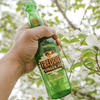Freddie’s Old Fashioned Soda - Ginger Ale 12oz Bottles - Bright Invigorating Sparkling Flavor - GoDpsMusic
