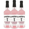 Owen’s Craft Mixers Live Nation Exclusive Strawberry Lemonade | Handcrafted in USA | Premium Ingredients | Vegan & Gluten-Free Soda Mocktail & Cocktail Mixer - GoDpsMusic