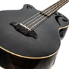 Sawtooth Rudy Sarzo Signature Left-Handed Transparent Black Flame Acoustic-Electric Bass Guitar PREORDER Ships 12/15/23 - GoDpsMusic