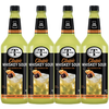 Mr & Mrs T Whiskey Sour Mix, 1L Bottle, – Premium Cocktail Mixer, Ready to Use - GoDpsMusic