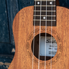 Sawtooth Soprano Ukulele Mahogany 21 inch Ukelele Beginner Kit Online Lesson Padded Gig Bag Premium Wood Uke Stand Picks Quick Start Guide Ukelele Pack - GoDpsMusic