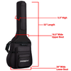 ChromaCast Acoustic Bass Padded Gig Bag - GoDpsMusic