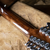 Sawtooth Mahogany Series 12-String Acoustic-Electric Dreadnought Guitar - GoDpsMusic