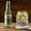 Fever Tree Elderflower Tonic Water - Premium Quality Mixer & Soda - Refreshing Beverage for Cocktails & Mocktails 150ml Can - GoDpsMusic