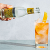 Fever Tree Premium Tonic Water - Premium Quality Mixer and Soda - Refreshing Beverage for Cocktails & Mocktails 150ml Can - GoDpsMusic