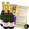 Chateau De Fleur Non-alcoholic Sparkling Wine Champagne Champagnette with Chromacast Pop Socket, Seasonal Wine Pairings & Recipes - GoDpsMusic