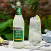 Fever Tree Premium Ginger Ale - Premium Quality Mixer and Soda - Refreshing Beverage for Cocktails & Mocktails 200ml Bottle - GoDpsMusic