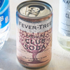 Fever Tree Premium Club Soda - Premium Quality Mixer & Soda - Refreshing Beverage for Cocktails & Mocktails 150ml Cans - Pack of 30 - GoDpsMusic