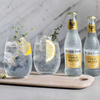 Fever Tree Premium Indian Tonic Water - Premium Quality Mixer and Soda - Refreshing Beverage for Cocktails & Mocktails 150ml Can - Pack of 15 - GoDpsMusic