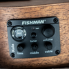 Sawtooth Mahogany Concert Electric Ukulele w Gig Bag and Fishman KUL-101 Preamp/Built In Tuner - GoDpsMusic