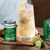 Fever Tree Premium Ginger Ale - Premium Quality Mixer and Soda - Refreshing Beverage for Cocktails & Mocktails 250ml Can - GoDpsMusic