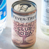 Fever Tree Premium Club Soda - Premium Quality Mixer & Soda - Refreshing Beverage for Cocktails & Mocktails 150ml Can - GoDpsMusic