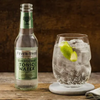 Fever Tree Elderflower Tonic Water - Premium Quality Mixer & Soda - Refreshing Beverage for Cocktails & Mocktails 200ml Bottles - GoDpsMusic