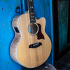 Sawtooth Solid Spruce Top Jumbo Cutaway 12 String Acoustic Electric Guitar with Flame Maple Back and Sides - GoDpsMusic