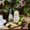 Fever Tree Premium Ginger Ale - Premium Quality Mixer and Soda - Refreshing Beverage for Cocktails & Mocktails 150ml Can - GoDpsMusic