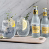 Clean Co Non-Alcoholic Gin Alternative 700ml Bottle - | with Premium Quality Fever Tree Premium Tonic Water