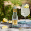 Fever Tree Premium Indian Tonic Water - Premium Quality Mixer and Soda - Refreshing Beverage for Cocktails & Mocktails 200ml Bottle - GoDpsMusic