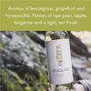 Seaglass Alcohol-Removed Pinot Grigio – Refreshing Non-Alcoholic White Wine with Stone Fruit, Honeysuckle & Floral Aromas – Crisp & Clean Finish  – 750ml Bottles