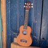 Sawtooth Mahogany Soprano Ukulele with Padded Gig Bag - GoDpsMusic