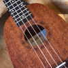 Sawtooth Mahogany Pineapple Ukulele with Padded Gig Bag - GoDpsMusic