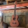 Sawtooth Mahogany Baritone Ukelele - GoDpsMusic