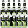 Mr & Mrs T Mojito Mix, 1L Bottle, – Premium Cocktail Mixer for Mojito Mix, Ready to Use - GoDpsMusic