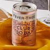 Fever Tree Premium Club Soda - Premium Quality Mixer & Soda - Refreshing Beverage for Cocktails & Mocktails 150ml Can - GoDpsMusic