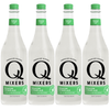 Q Mixers Ginger Ale, Premium Cocktail Mixer Made with Real Ingredients 750ML Bottle - GoDpsMusic