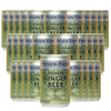 Fever Tree Premium Ginger Beer - Premium Quality Mixer and Soda - Refreshing Beverage for Cocktails & Mocktails 150ml Can - GoDpsMusic