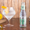 Fever Tree Elderflower Tonic Water - Premium Quality Mixer & Soda - Refreshing Beverage for Cocktails & Mocktails 150ml Can - GoDpsMusic