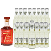 Spiritless Kentucky 74 Spiced Distilled Non-Alcoholic Cinnamon Whiskey Bundle with Fever Light Ginger Beer - Spicy Kentucky Mule - Premium Zero-Proof Bourbon Liquor Spirits for a Refreshing Experience - GoDpsMusic