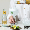 Fever Tree Premium Indian Tonic Water - Premium Quality Mixer and Soda - Refreshing Beverage for Cocktails & Mocktails 150ml Can - GoDpsMusic