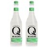 Q Mixers Ginger Ale, Premium Cocktail Mixer Made with Real Ingredients 750ML Bottle - GoDpsMusic