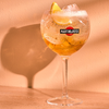 Martini & Rossi Floreale Non-Alcoholic Aperitivo Alcohol Free Drink Herbal Aperitif Made in Italy - GoDpsMusic