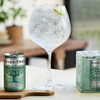 Fever Tree Elderflower Tonic Water - Premium Quality Mixer & Soda - Refreshing Beverage for Cocktails & Mocktails 150ml Can - GoDpsMusic