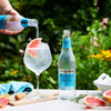 Fever Tree Mediterranean Tonic Water - Premium Quality Mixer and Soda - Refreshing Beverage for Cocktails & Mocktails 200ml Bottle - GoDpsMusic