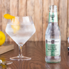 Fever Tree Elderflower Tonic Water - Premium Quality Mixer & Soda - Refreshing Beverage for Cocktails & Mocktails 200ml Bottles - GoDpsMusic