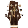 Sawtooth Acoustic Guitar Beginner Bundle, Includes Tuner, Bag, Wall Hanger, Strap, Guitar Picks & Hundreds of Guitar Lessons - GoDpsMusic